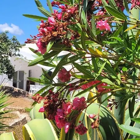 度假居 Casa Do Poco