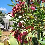 Hébergement de vacances Casa Do Poço