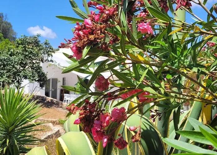 Tatil Evi Casa Do Poco